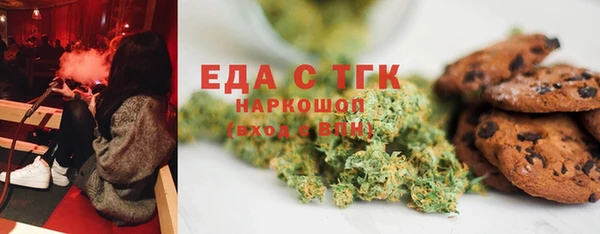 хмурый Арсеньев