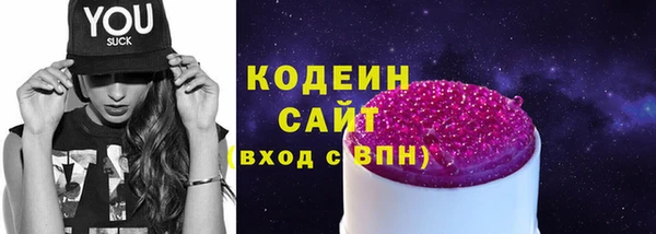 хмурый Арсеньев