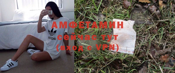 хмурый Арсеньев