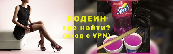 хмурый Арсеньев