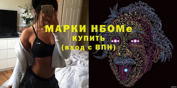 хмурый Арсеньев