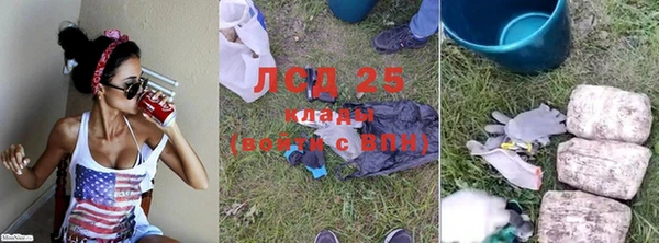 прущие крисы Аркадак