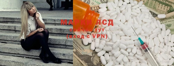 хмурый Арсеньев