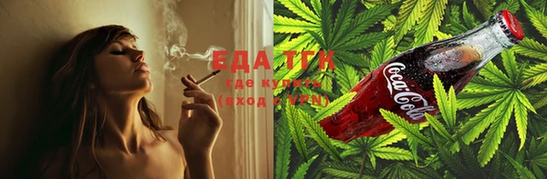 хмурый Арсеньев