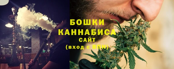 хмурый Арсеньев